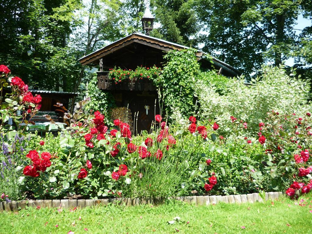 Landhaus Flasch Wagrain Pokoj fotografie