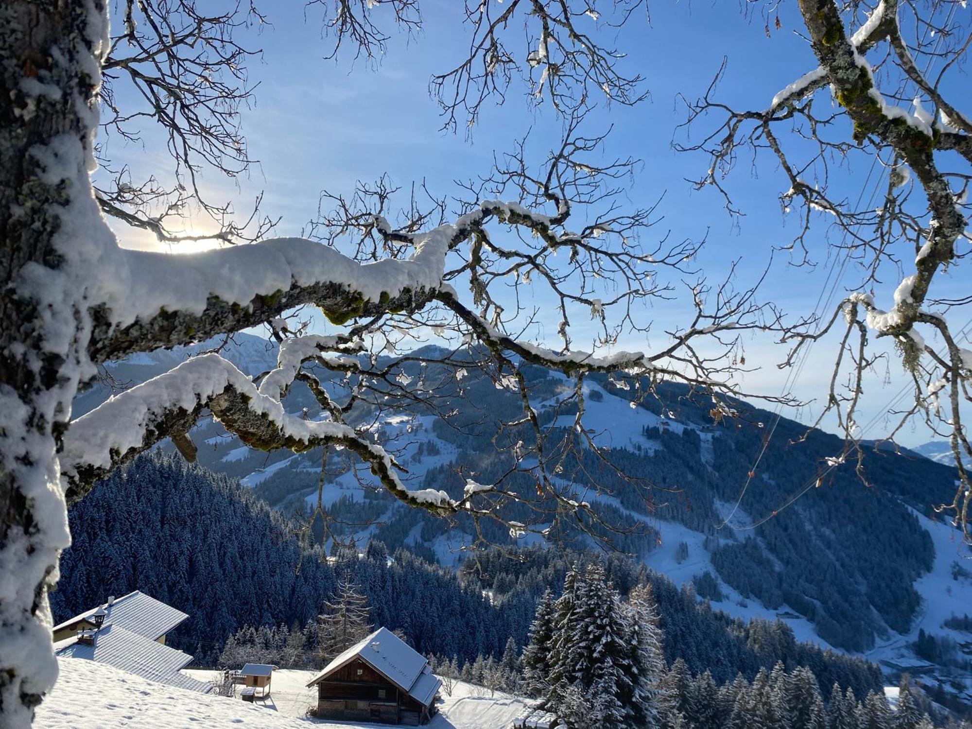 Landhaus Flasch Wagrain Exteriér fotografie